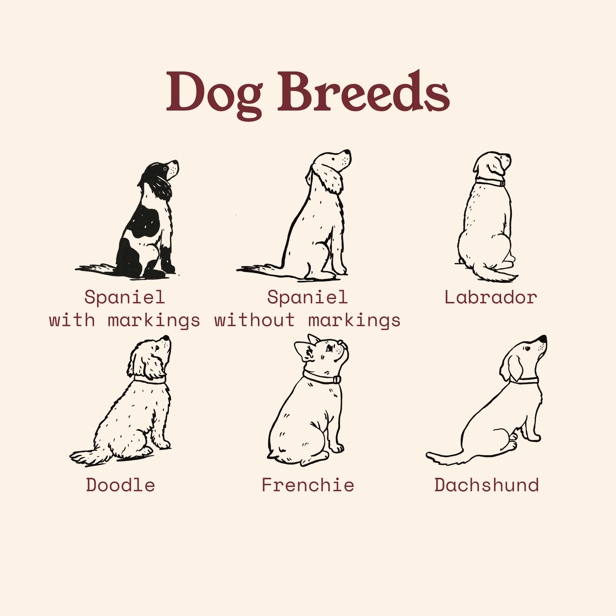 Spaniel with Markings Hiking View T-shirt - Pick your Dog Breed and Fur Colour