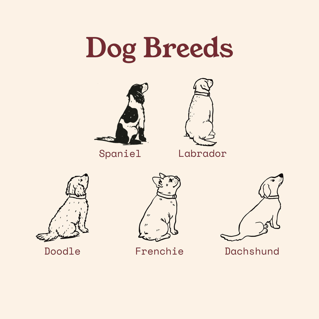 Dachshund Hiking View Print - Pick your Dog Breed and Fur Colour